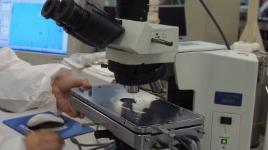 Studying the effects of temperature and shear flow in isotactic polypropylene