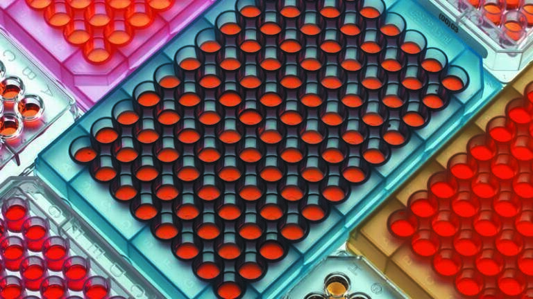 Optimising, Adjusting & Controlling Evaporation Methods