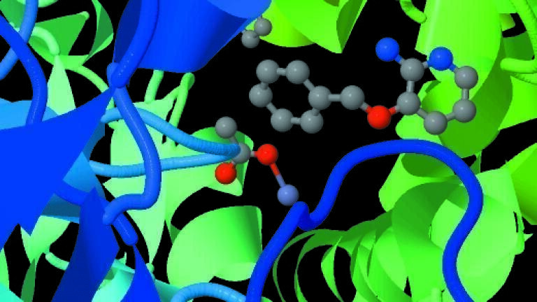 Collaboration to Validate Emerging Technique in Drug Discovery