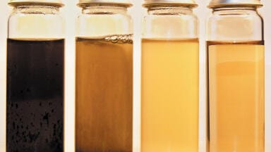 New Clostridia Medium Helps Detect Faecal Contamination