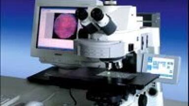 Elispot Software Speeds Up Vaccine Research