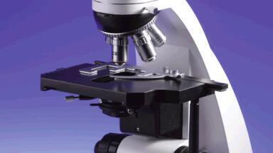 Cost Effective Microscopes