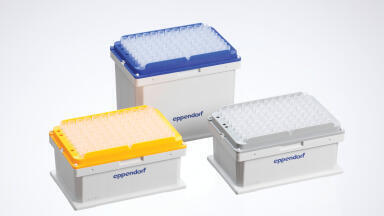 Colour-Coded and Eco-Friendly Trays