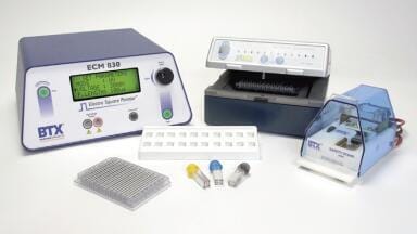 High Content Screening of Neurons