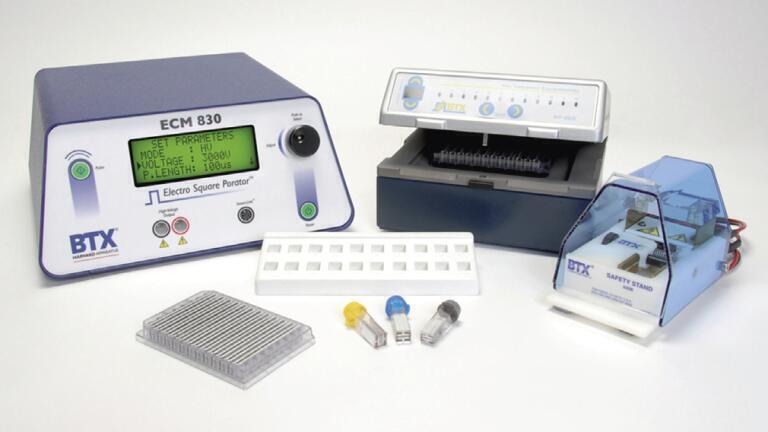 High Content Screening of Neurons