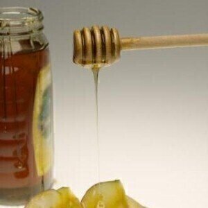 Scientists reveal honey could "reverse antibacterial resistance"