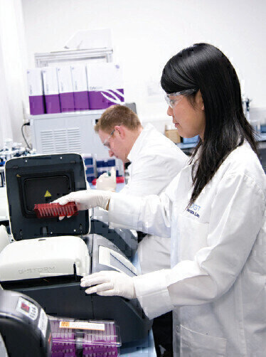 New High-Throughput DNA Labelling Kit and Sample Tracking Spike-Ins