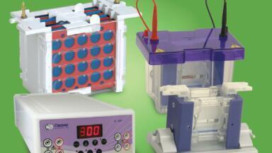 All-In-One Electrophoresis Packages Save Time And Money