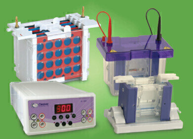 All-In-One Electrophoresis Packages Save Time And Money