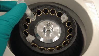 Highly Sensitive and Specific Chromatin Immunoprecipitation (ChIP) Assay Kit