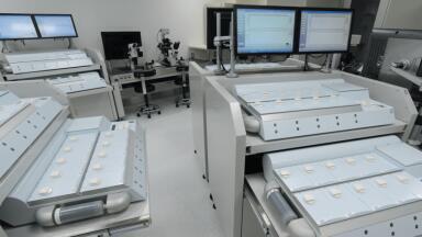 The G185 Incubator - A Japanese Case story