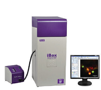 Macro to Micro Fluorescence In Vivo Imaging