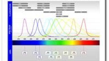 New Pe-2 Collimator for the Precisexcite Led Source for Fluorescence Microscopy