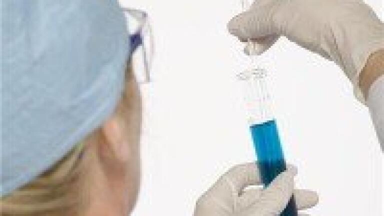 Scientists discover ideal spore collection method