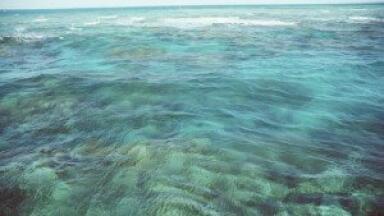 Scientists will research sub-seabed CO2 storage
