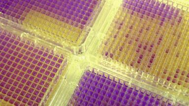Expanded Early Genotoxicity Screening Capability
