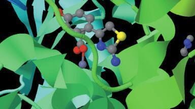‘Off the Shelf’ Fragment Library for Time-Efficient Drug Discovery Lead Generation