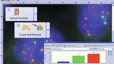 Dimension Count and Measure Solution Module for Automated Image Analysis