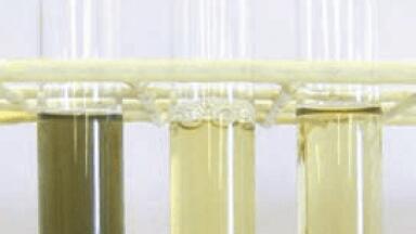 New Modified Giolitti and Cantoni Broth (ISO) Added to Culture Media Range