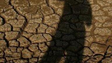 Scientists warn of the effects of climate change on crops