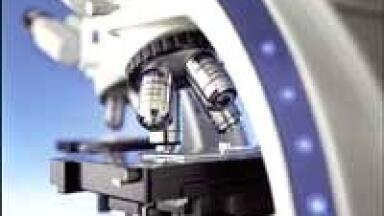 Diagnosing Tuberculosis Using Special Microscope