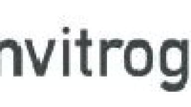 Invitrogen and Applied Biosystems to Combine