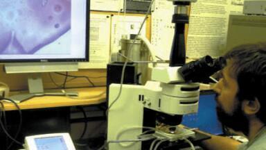 Breaking Ground in Geological Specimen Studies