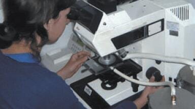 Temperature Controlled Cryo Stage to Study Biological Specimens