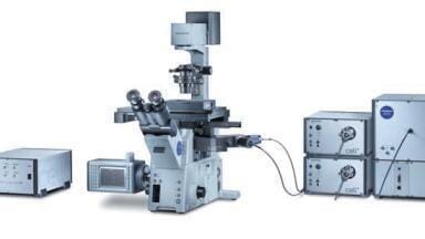 Microscopy Shines a Light on Real-Time FRAP