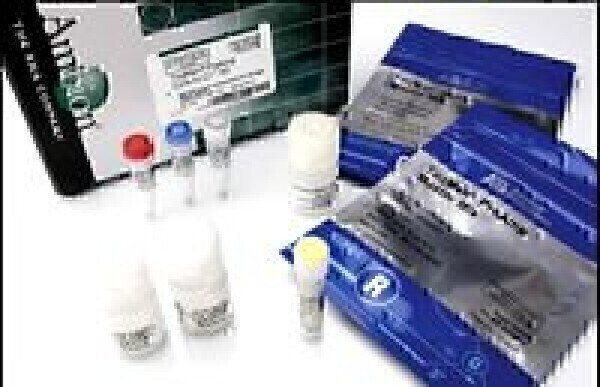 New Reagents Simplify RNA Research Labmate Online