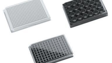 Glass Bottom Microplates for Imaging Applications