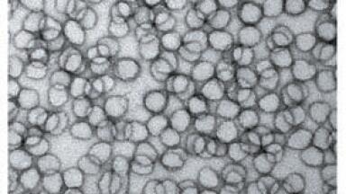 Researchers Optimise Nanolatex Production