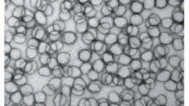 Researchers Optimise Nanolatex Production