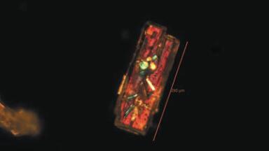 New Software Puts Particles in a Different Light