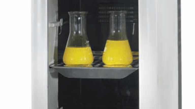 Thermo Scientific Heratherm Compact Incubator for Personalised Incubation