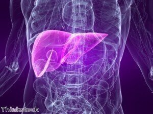 Scientists have identified liver failure protein