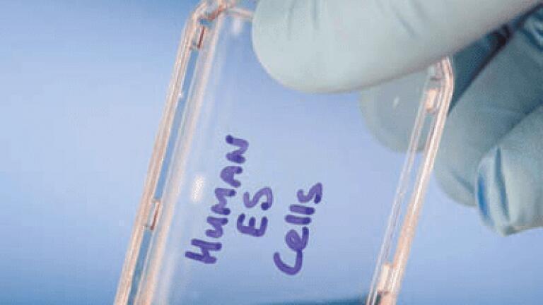 Breakthrough in Bioprocess Optimisation For Biologicals