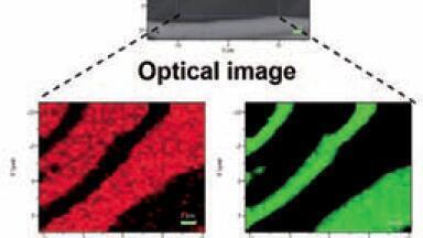 Raman Spectroscopy New Wonder Material
