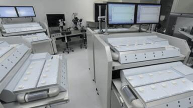 The G185 Incubator – A Japanese Case story