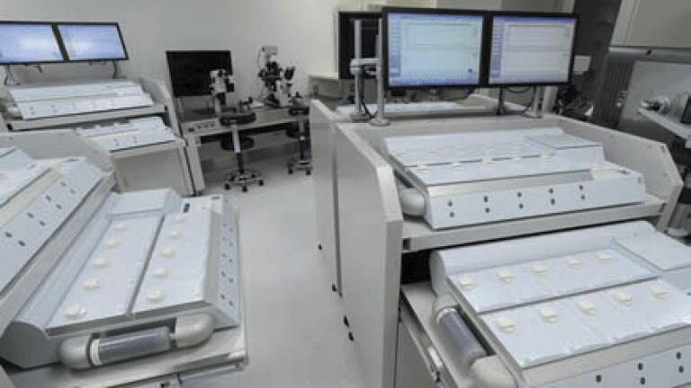 The G185 Incubator – A Japanese Case story