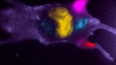 Multimodal System Accelerates Drug Discovery and Early Disease Detection