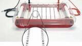 New High Throughput Submarine Gel Electrophoresis Unit