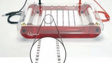 New High Throughput Submarine Gel Electrophoresis Unit