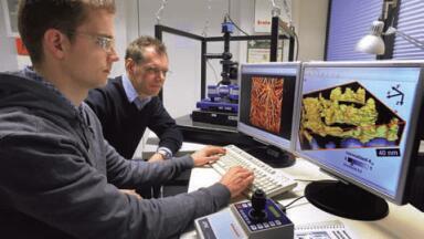 AFM System for the Characterisation of Polymeric and Biological Materials