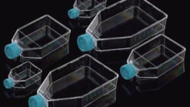 Affordable High Quality Cell Culture Flasks