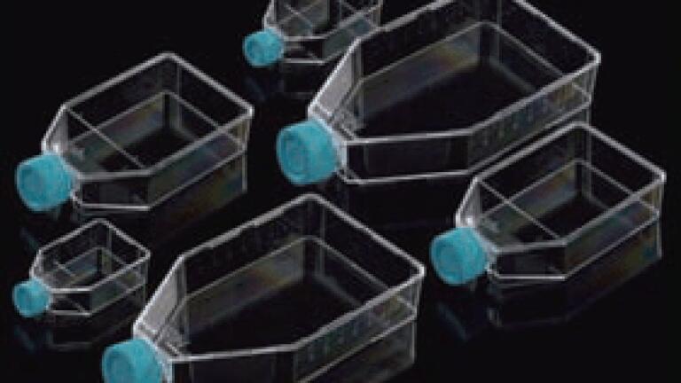 Affordable High Quality Cell Culture Flasks