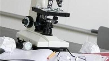 Nanowires carved out of ultrananocrystalline diamond