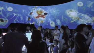 Carl Zeiss Supports Author with Plankton Project