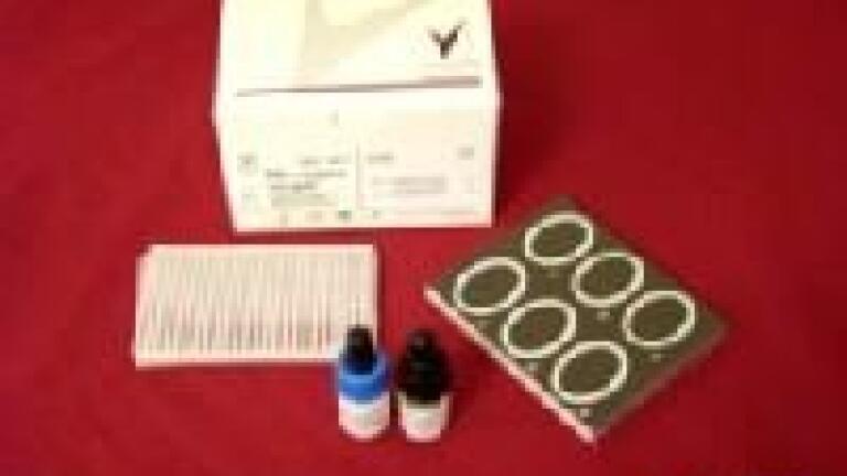 Microgen Staph-ID