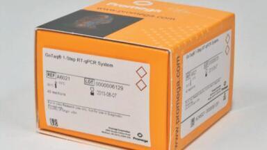 Quantitative Analysis of RNA